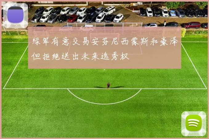 绿军有意交易安芬尼西蒙斯和豪泽但拒绝送出未来选秀权