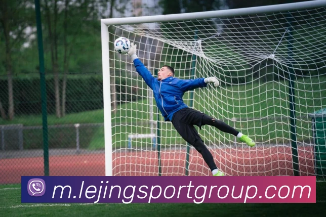 App Interface Preview